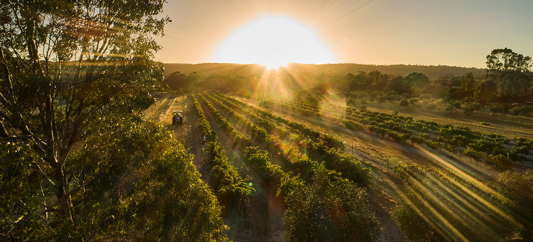 Sunset over Vino Volta